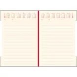 PI-11-IDEAL-EGO-Agenda-nedatata-IDEAL-Visiniu-16x24-cm