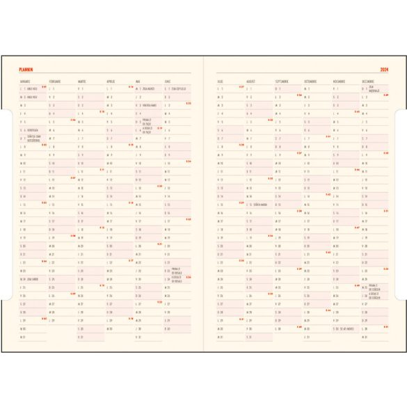 PI-11-IDEAL-EGO-Agenda-nedatata-IDEAL-Visiniu-16x24-cm