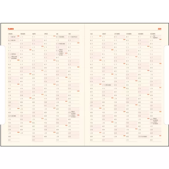 PI-11-IDEAL-EGO-Agenda-nedatata-IDEAL-Visiniu-16x24-cm