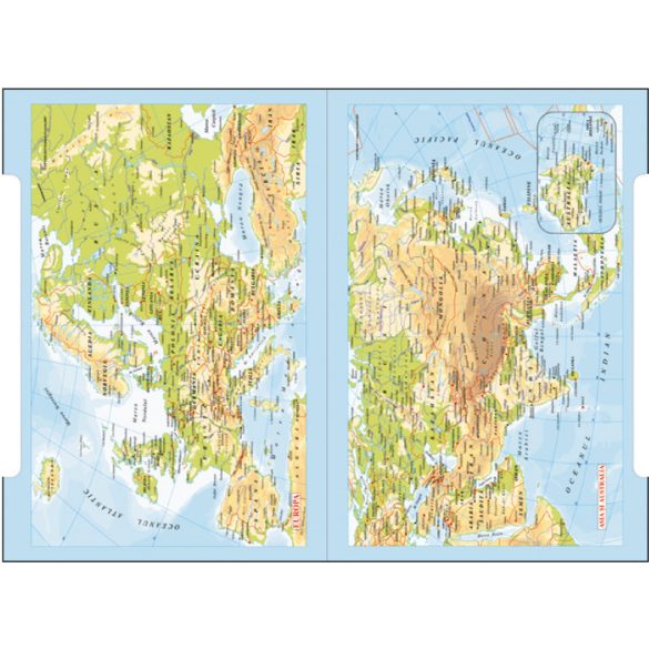 PI-11-IDEAL-EGO-Agenda-nedatata-IDEAL-Visiniu-16x24-cm