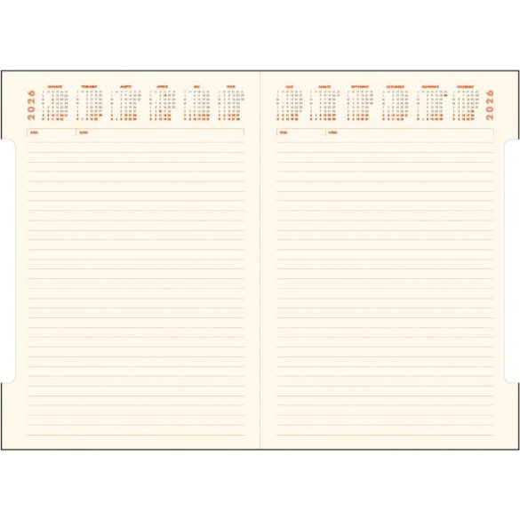 PI-3-IDEAL-EGO-Agenda-nedatata-IDEAL-Albastru-16x24-cm