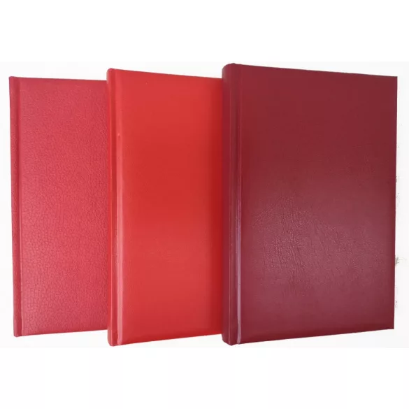 PL-11-EGO-Agenda-datata-zilnic-Basic-Rosu-14x21-cm
