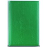 PL-12-EGO-Agenda-datata-zilnic-Basic-Verde-14x21-cm