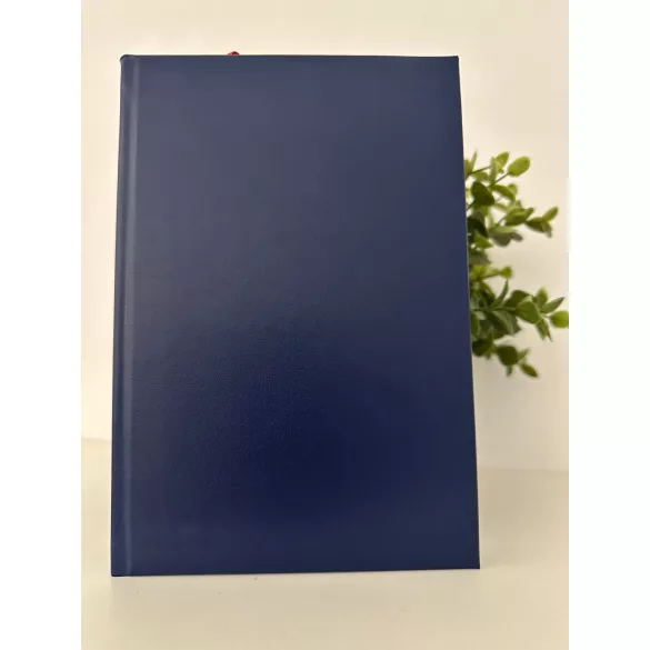 PL-3-EGO-Agenda-datata-zilnic-Basic-Albastru-14x21-cm