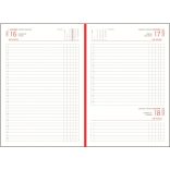 PL-3-EGO-Agenda-datata-zilnic-Basic-Albastru-14x21-cm