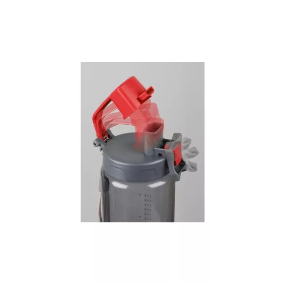 r08312-08-recipient-lichide