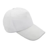 R08742-06-Sapca-SOLENO