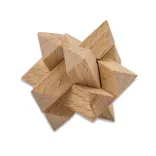 R08866-13-Puzzle-BRAINY