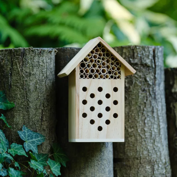 R17151-13-Casa-pentru-insecte-BEE-bej