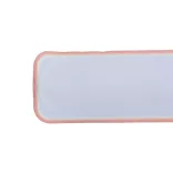 r17763-08-canda-snap-safety