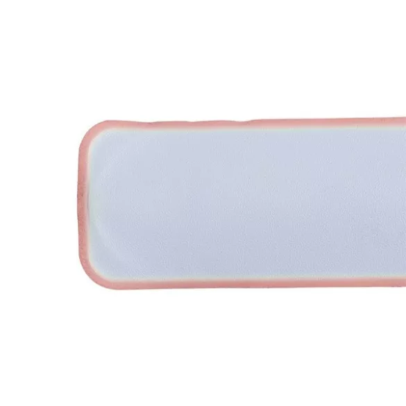 r17763-08-canda-snap-safety