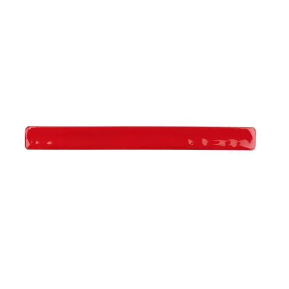 r17763-08-canda-snap-safety