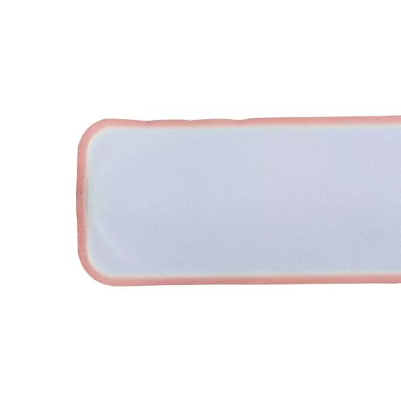 r17763-08-canda-snap-safety