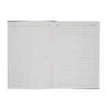 R91779-02-Notes-AMARO