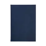 R91779-42-Notes-AMARO