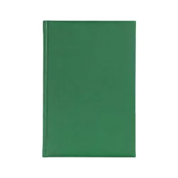 TW12-IDEAL-EGO-Agenda-nedatata-IDEAL-verde