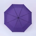 US15-PR - Umbrela automata Primo Harvard DAS - [Violet]