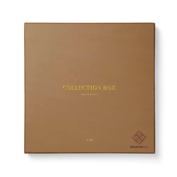 V262001-Set-de-jocuri-VINGA