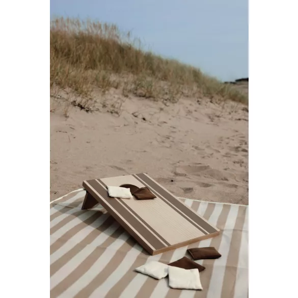 V4532009P-Joc-distractiv-VINGA-Cornhole-