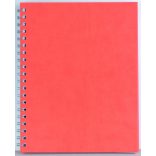 VR-12-Premier-EGO-Agenda-nedatata-PREMIER-Portocaliu-21x26-cm