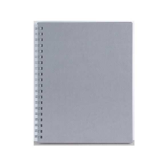 VR-6-Premier-EGO-Agenda-nedatata-PREMIER-Gri-21x26-cm