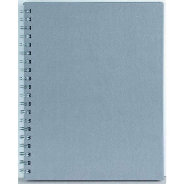 VR-6-Premier-EGO-Agenda-nedatata-PREMIER-Gri-21x26-cm