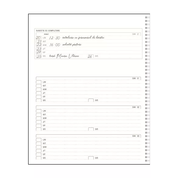 VR-6-Premier-EGO-Agenda-nedatata-PREMIER-Gri-21x26-cm