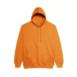 AWJH001 - Hanorac unisex All We Do is COLLEGE [Pumpkin Pie]