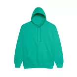 AWJH001 - Hanorac unisex All We Do is COLLEGE [Spring Green]