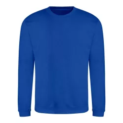 AWJH030 - Hanorac unisex All We Do is AWDIS [Bright Royal]