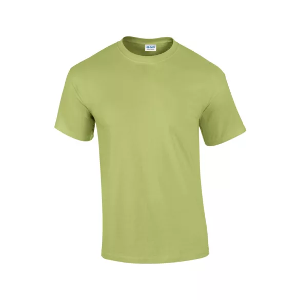 gi2000-Tricou-adult-unisex-Gildan-Ultra-Cotton-Pistachio