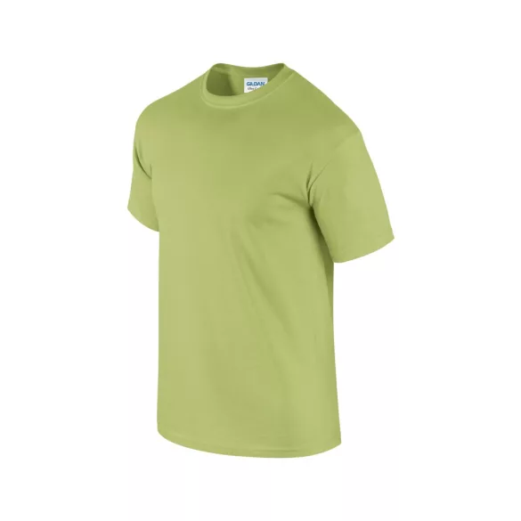 gi2000-Tricou-adult-unisex-Gildan-Ultra-Cotton-Pistachio