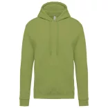 KA476 - Hanorac cu gluga de barbat Kariban [Pistachio]