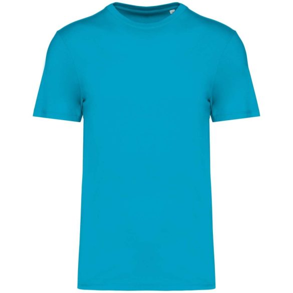 ns300 - Tricou adult unisex Native Spirit Eco Friendly [Light Turquoise]