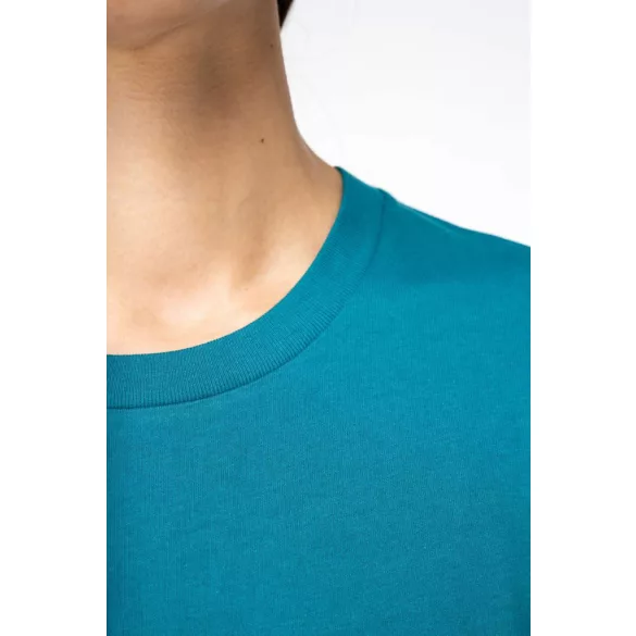 ns330 - Tricou adult unisex Native Spirit Eco Friendly [Wet Sand]