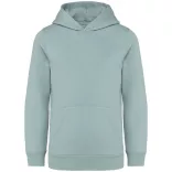 ns404 - Hanorac cu gluga pentru copii - Native Spirit - [Jade Green]