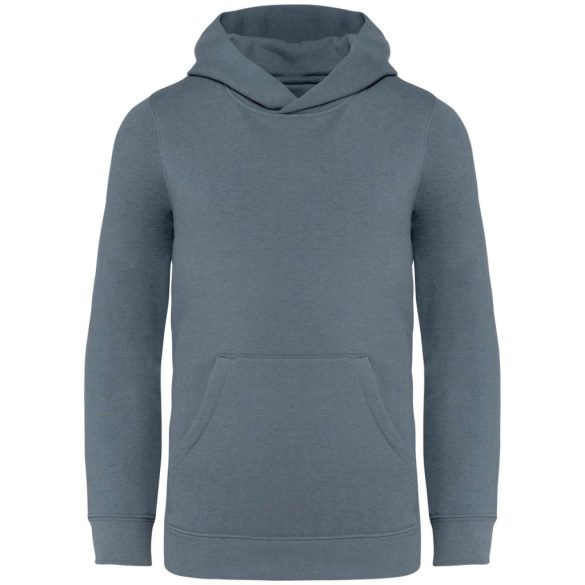 ns404 - Hanorac cu gluga pentru copii - Native Spirit - [Mineral Grey]