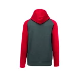 PA369-Hanorac-cu-gluga-barbati-ADULT-TWO-TONE-HOODED-SWEATSHIRT-Grey-H