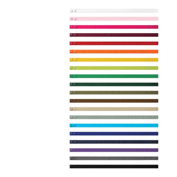 pr191 - Bretele colorate pentru sorturi SWAP and POP COLOURS - [Dark Grey]