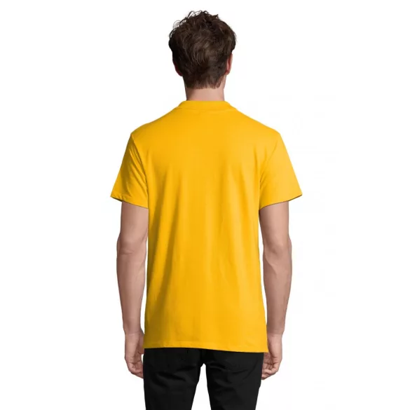 so11362-Tricou-polo-adult-barbat-Sols-Spring-II-Gold